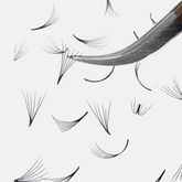 Curved Lash Tweezers – Precision and Versatility